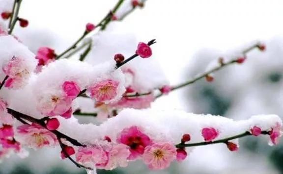诗情画意老师组诗七首（图3）