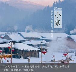 《小寒过后》作者:子楚【主播:铁魂】【桃源国际诗歌文化传媒】用声音传递温暖以诵读致敬人生♬（图8）
