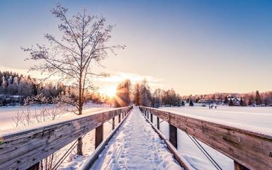 《冬天的温度》作者:雪原（吉林）主播:雪如玉【桃源国际诗歌文化传媒】用声音传递温暖以诵读致敬人生♬（图5）