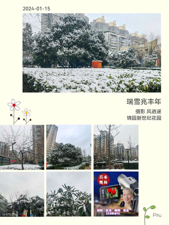 🎥【❄️望雪寻春】（第05集）（图2）