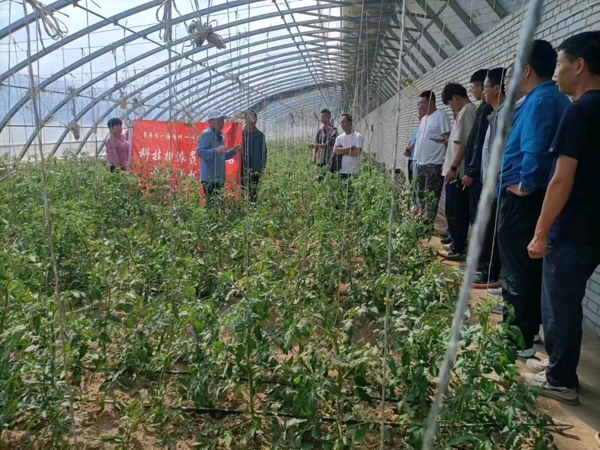 【重磅推出 军人风采】马建国//军魂在燃烧（图11）