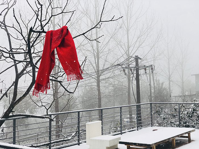 迎新春【九月茶韵文学诗社】作品2024—004《思念家乡的雪》作者 钦书 主播冬虫夏草 编辑制作刘林丽(图4)