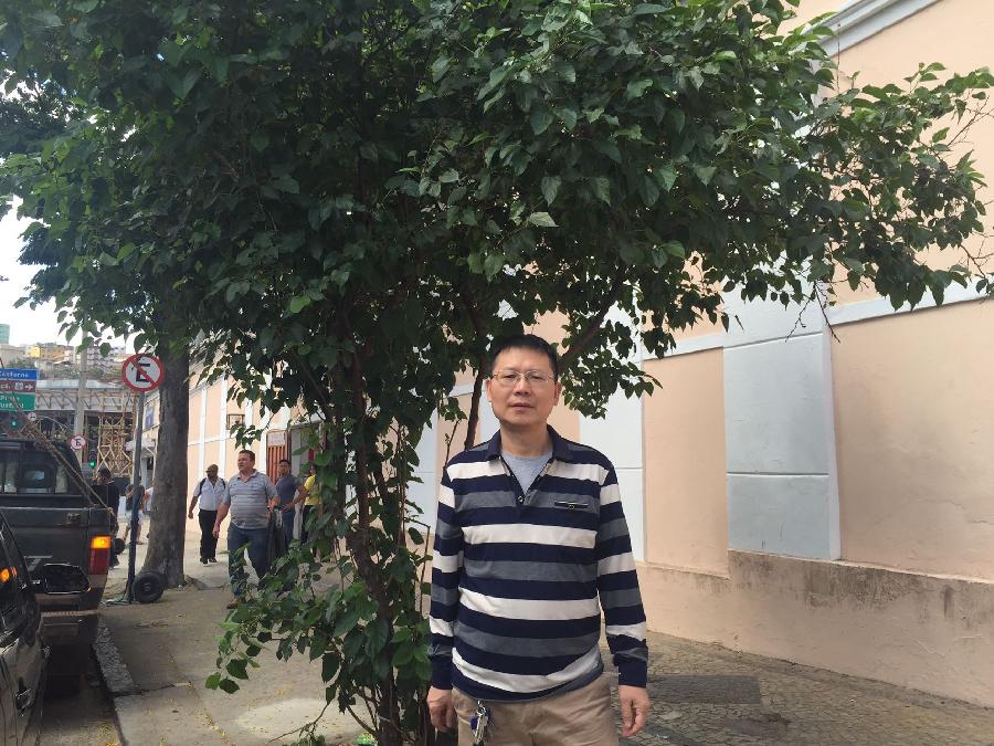 孤岛淹于口沫——环视孤岛风云|季俊群/巴西