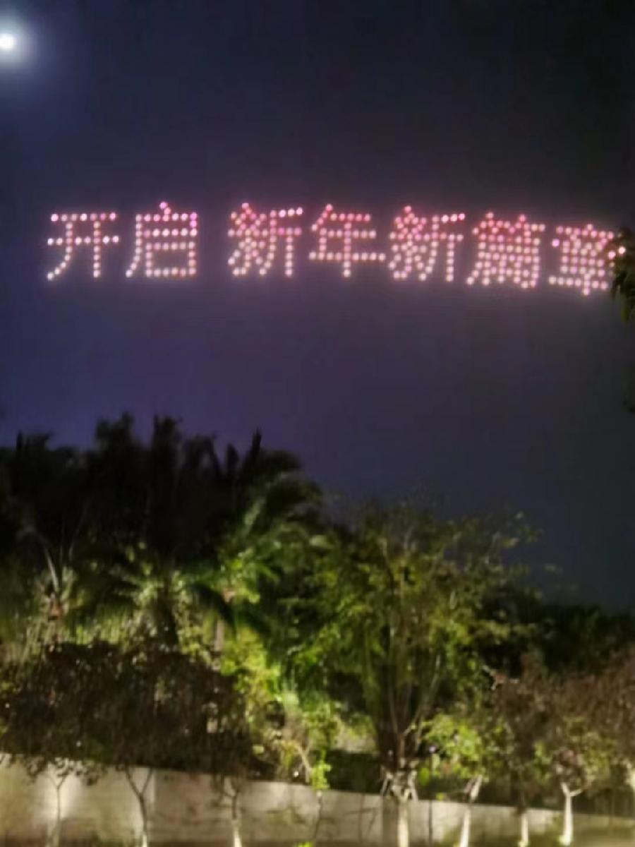 喜迎龙年～作者||蓝玉儿～图片||武忠勤（图10）