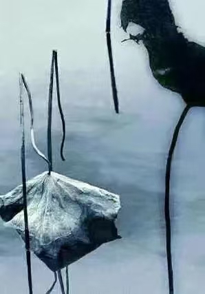 浣溪沙·季冬拾遗（文/许碧霞）……莲叶之珠文学社（图3）