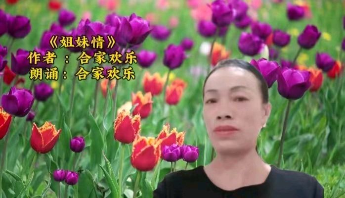 龙腾盛世扬风帆 诗韵再创新辉煌一一秋雨文化传媒诗韵学院迎春晚会（图3）