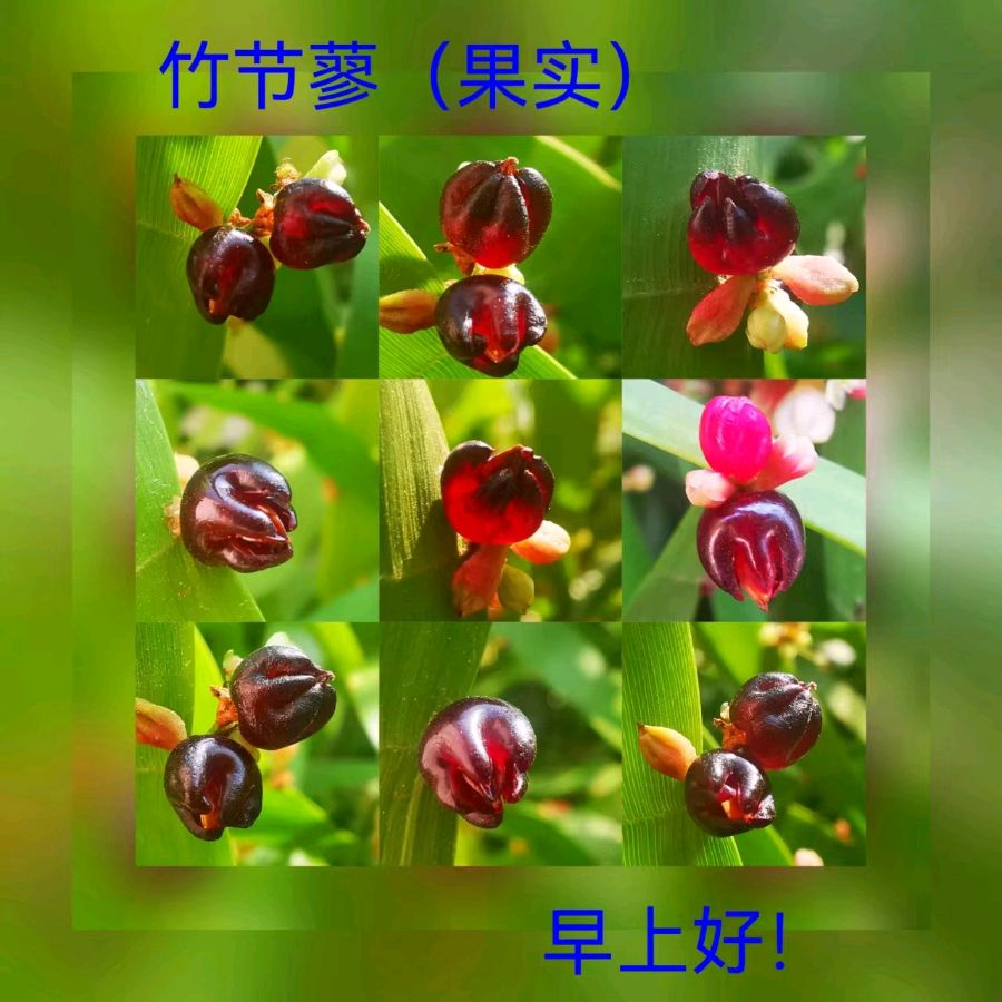 联机全球发布马洪武作品欣赏（图261）