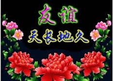 【英国文学】精品朗诵《满载快乐 不虚此行》作者|太阳花、朗诵|薇薇、荐稿|贝蒂(图4)