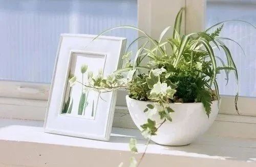 老杨老师诗词欣赏（图52）
