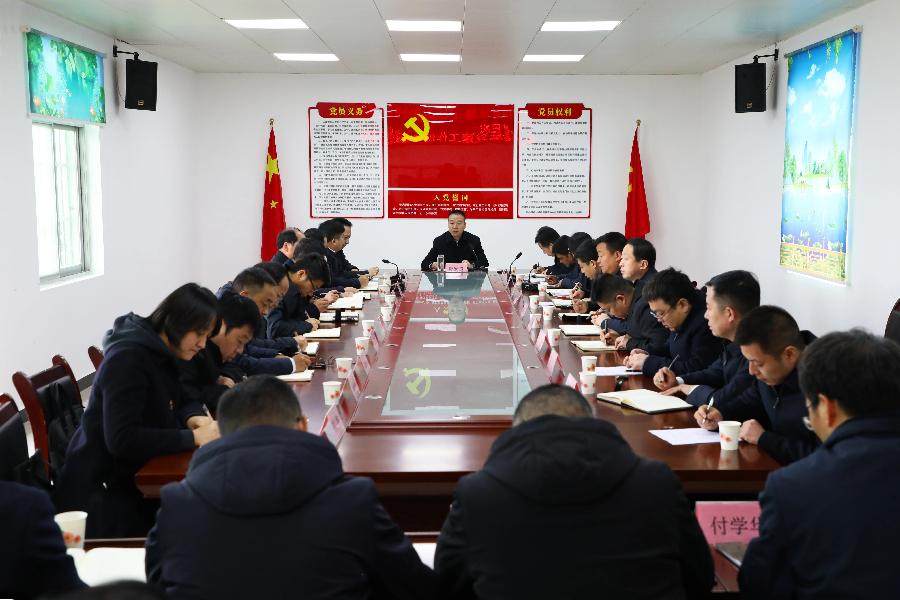 丹凤县召开基层党建工作现场观摩会(图2)