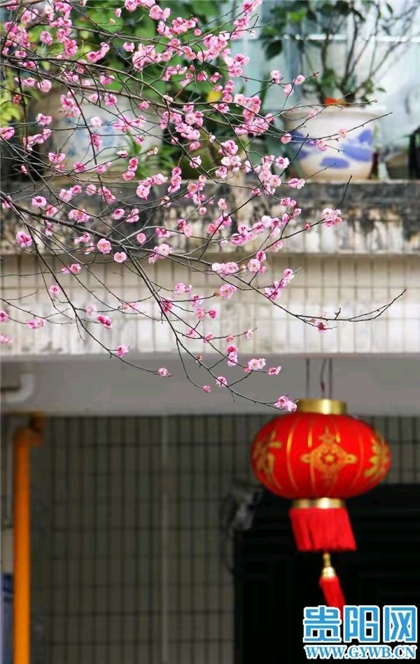 《现代诗人古诗词合集》作者：龙游天下、回泉山人、田歌、郭小林、刘文波。配乐:2024年健康平安[中国现代诗歌文化传媒]（图17）