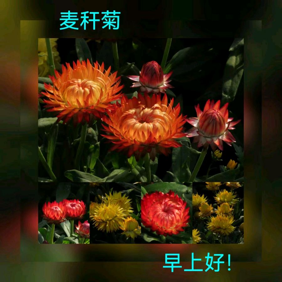 联机全球发布马洪武作品欣赏（图260）