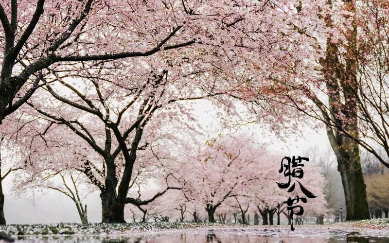 【冬韵放歌】潘启剑//满江红•腊八荷塘（图12）