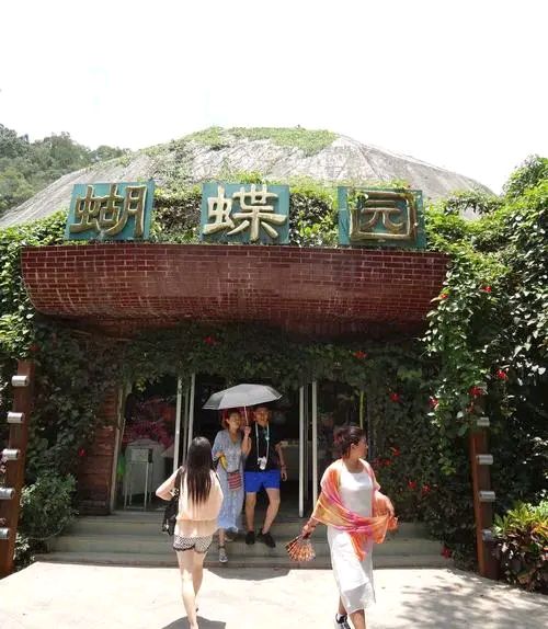 请欣赏六位金牌主播倾情演绎宋宜金老师的作品《游西双版纳》组诗二十一首 编辑//海纳百川【第7400期】（图23）