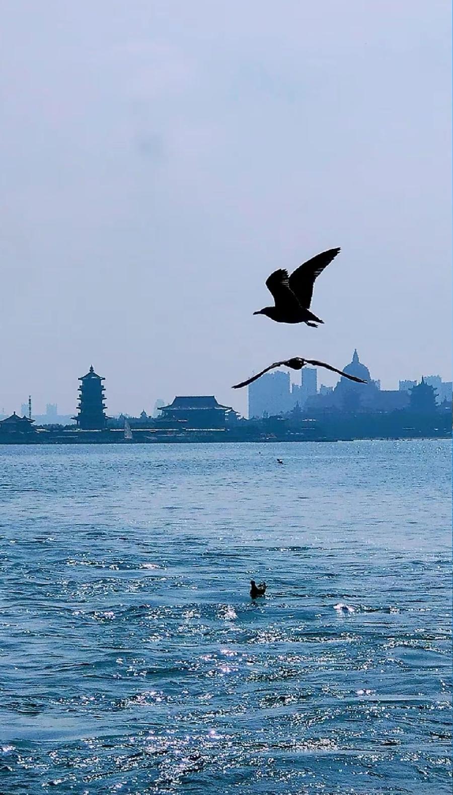 排律-海之恋～诗||晏忠林（图12）