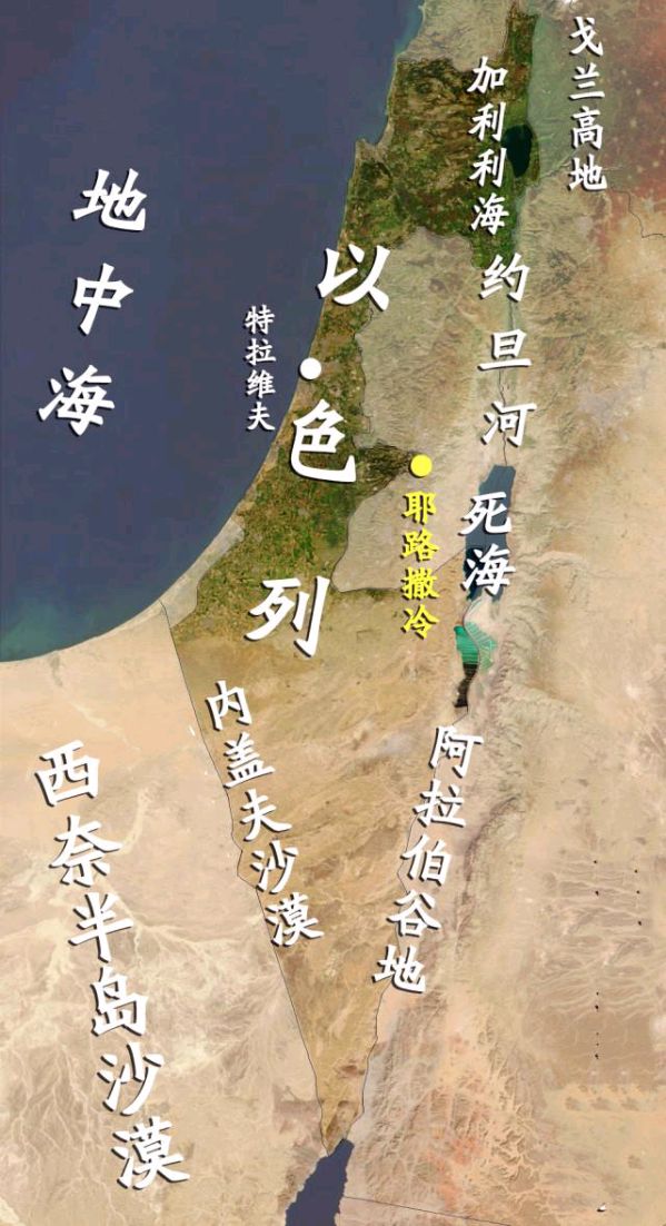 【新山东文学社】《二四年国际大势和应对之我见》作者/大漠情怀 主播/天空（图5）