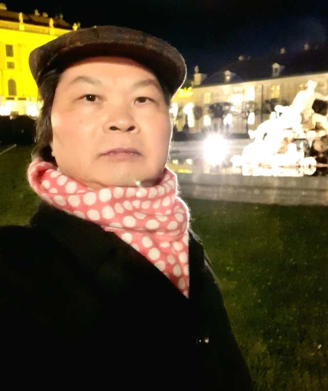 吴洪滨(奥地利维也纳)十首《七律 • 新年有寄》