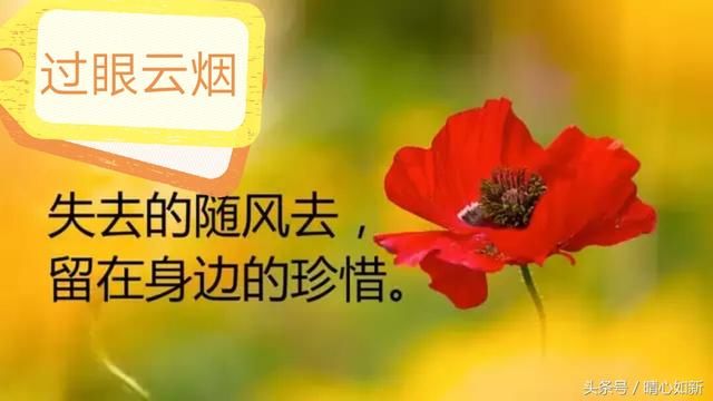 七律·遐忆(文/韩满林)……莲叶之珠文学社