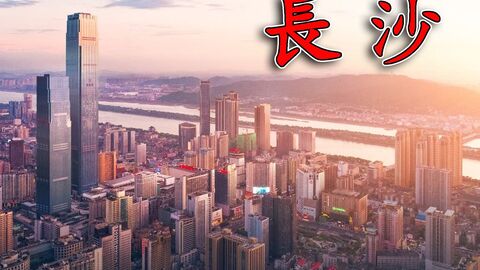 孙述考诗文集……莲叶之珠文学社（图8）