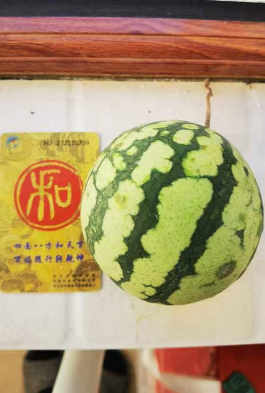 奇妙的“和”字!(图3)