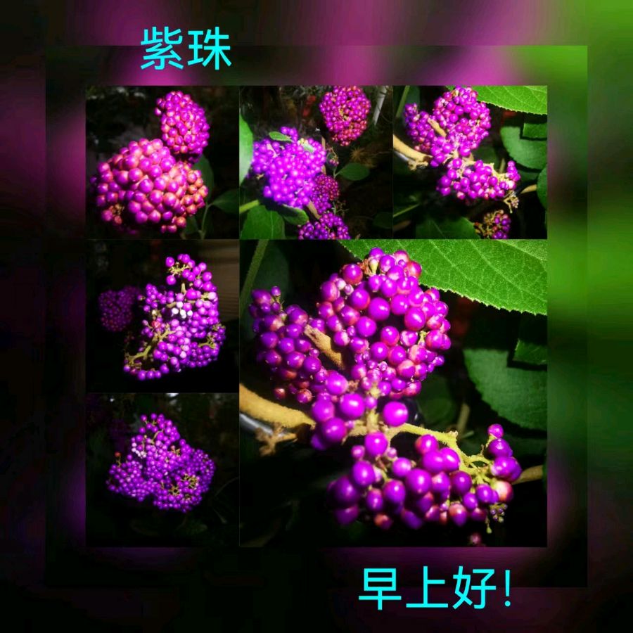 联机全球发布马洪武作品欣赏（图256）