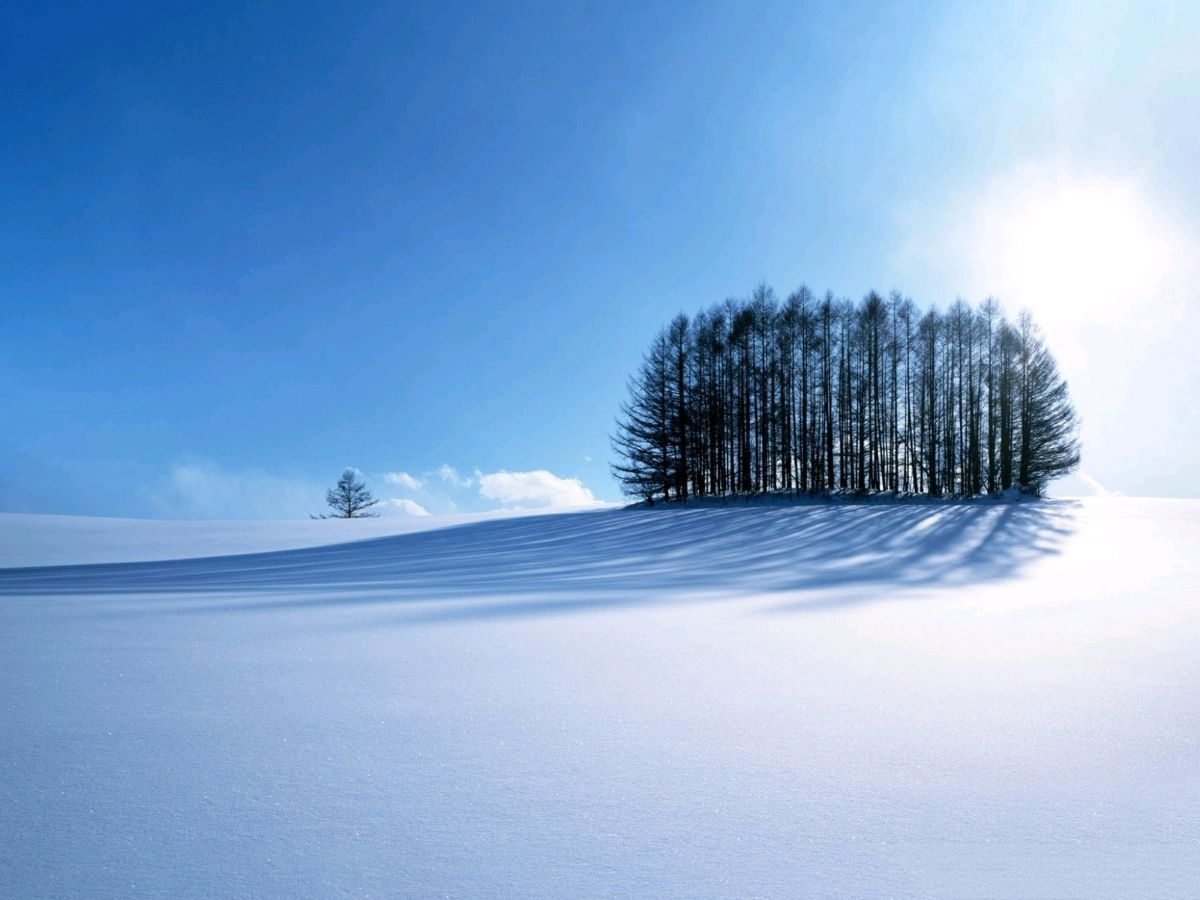 请欣赏陈铠老师的作品《雪》主播//渺邈 编辑//海纳百川【第7419期】（图3）
