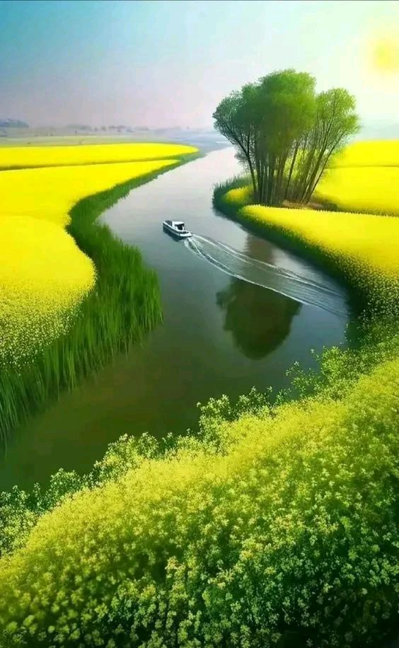 《沁园春 · 岁暮感怀》作者/黄石华（图4）