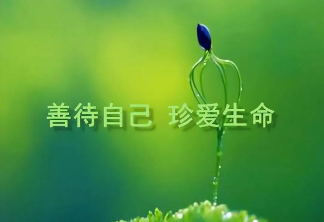 金子朗诵《金句》专集之十一;收集:金华(李敬党);编辑:开心快乐【运河之春】(第131期)(图5)