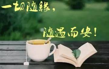 金子朗诵《金句》专集之十一;收集:金华(李敬党);编辑:开心快乐【运河之春】(第131期)(图12)
