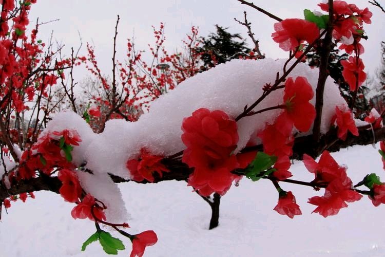 联机全球发布刘贵友作品欣赏（图4）