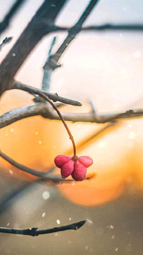 《贴近你》作者:听雨轩诗社群员（图21）