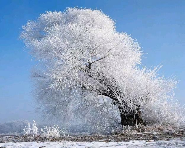 江南诗絮《王佐臣.诗选》(图14)