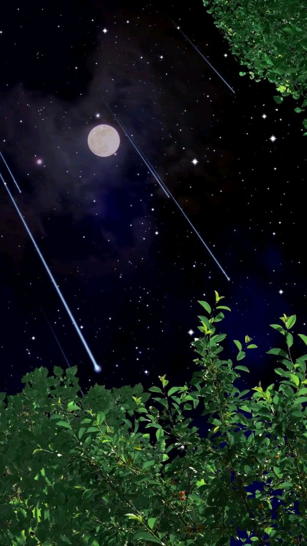 请欣赏六位金牌主播倾情演绎春江花月老师的作品《流星，闪烁的生命之光》编辑//海纳百川【第7434期】（图3）
