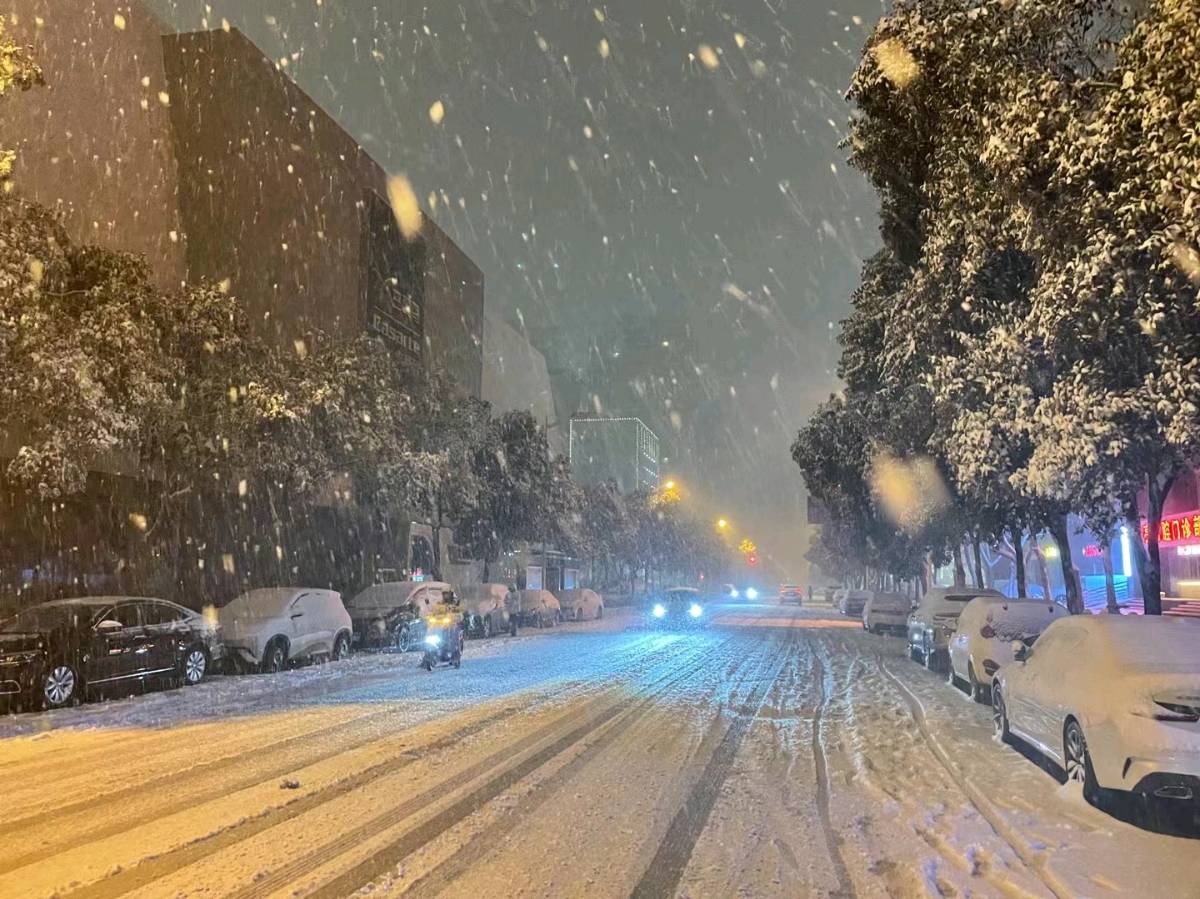 雪原里的夜行者