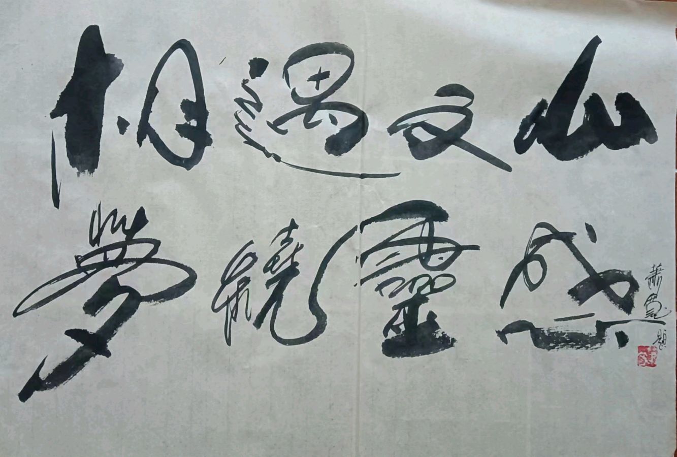 随记572：欢迎百变鬼才萧宽先生做客海口文山居（图8）