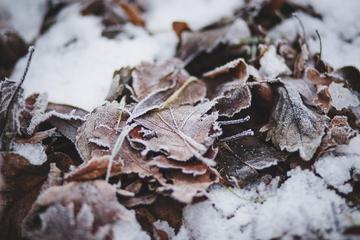 《雪的思想》作者:吴丽跃【主播:岁月静好】【中国现代诗歌文化传媒】徜徉诗的海洋聆听天籁之音♬（图4）