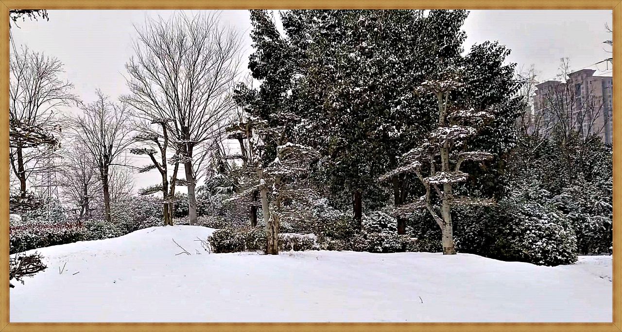 《雪之印》三则 文：觐石〔河南〕【冰心文化传媒】（图3）