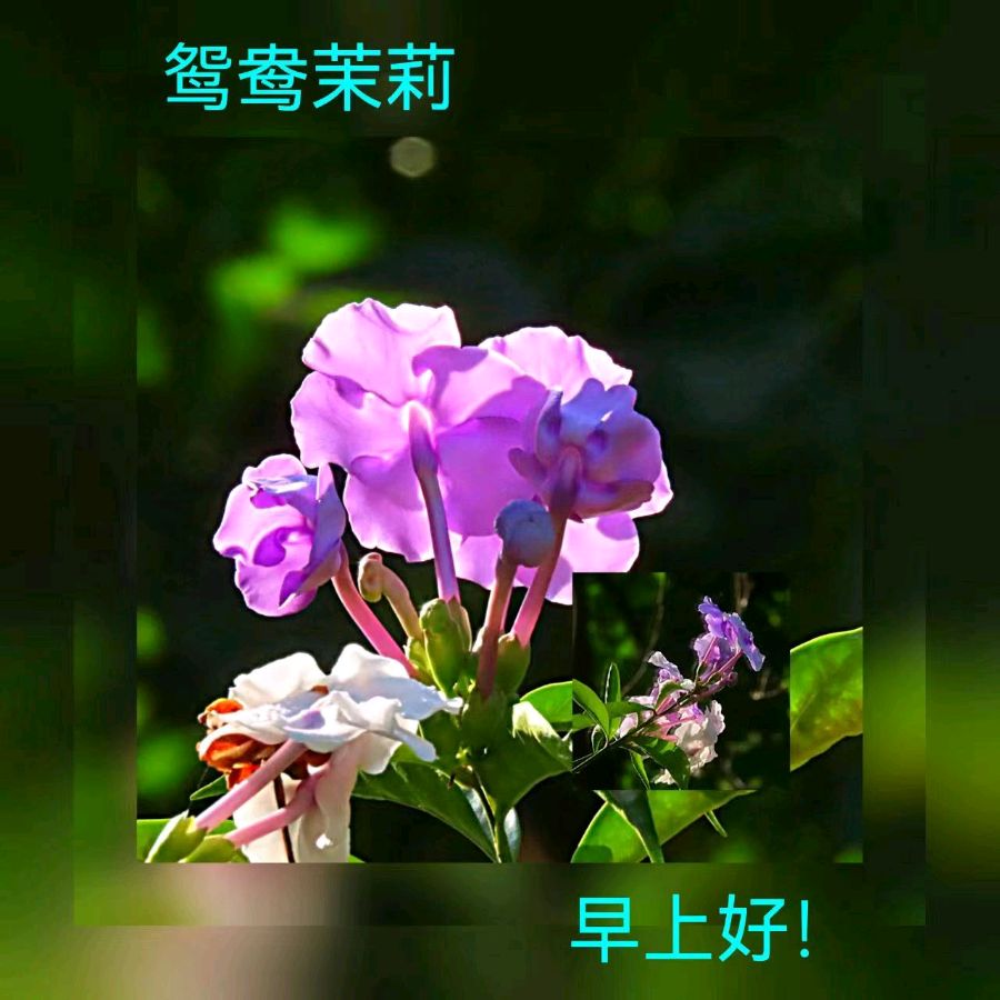 联机全球发布马洪武作品欣赏（图254）