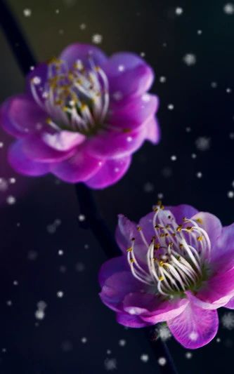 老马朗诵【双向奔赴】作者/雷金钟（图6）