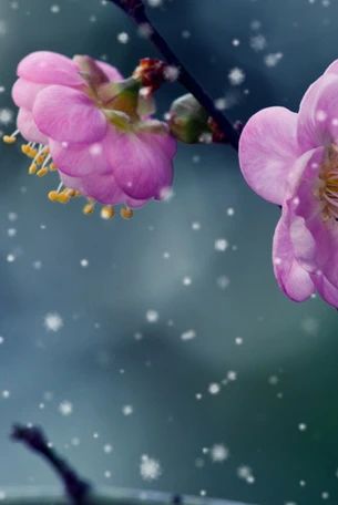 老马朗诵【双向奔赴】作者/雷金钟（图5）
