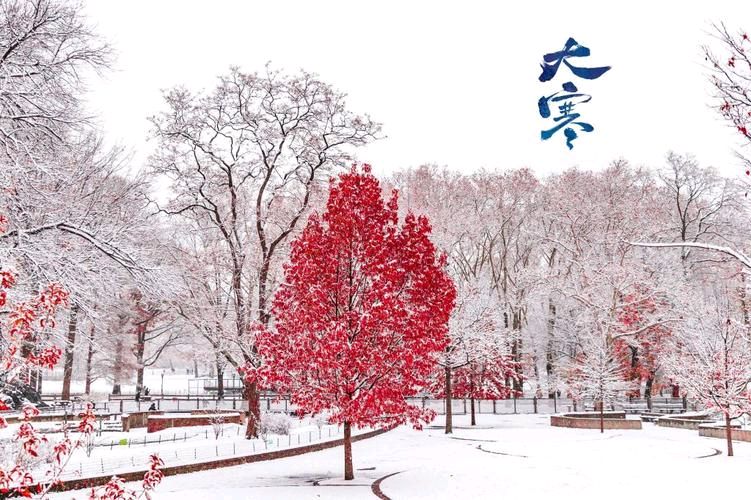 【经典推荐 冬韵放歌】张建国//大寒（图5）