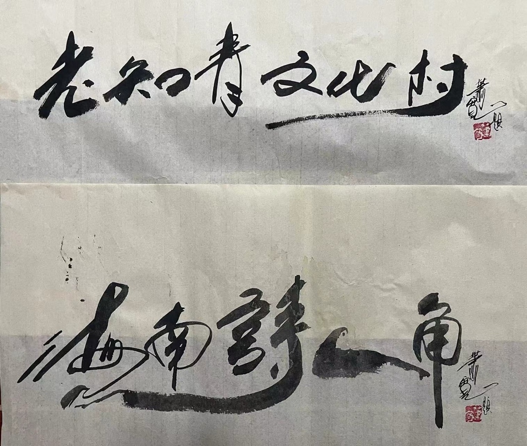 萧宽大师艺耀海南【世界诗书画协会】世界诗人名人展（10795期）（图63）
