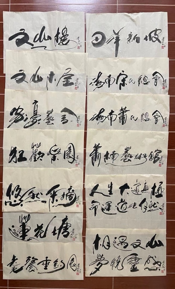 萧宽大师艺耀海南【世界诗书画协会】世界诗人名人展（10795期）（图64）