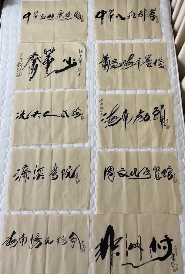 萧宽大师艺耀海南【世界诗书画协会】世界诗人名人展（10795期）（图84）