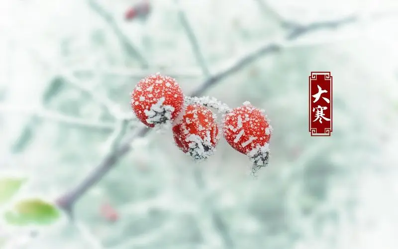 作者:徐飞鹏《山起诸峰千里雪》(大寒快乐/新韵十首)8152期【新京都文艺】(图4)