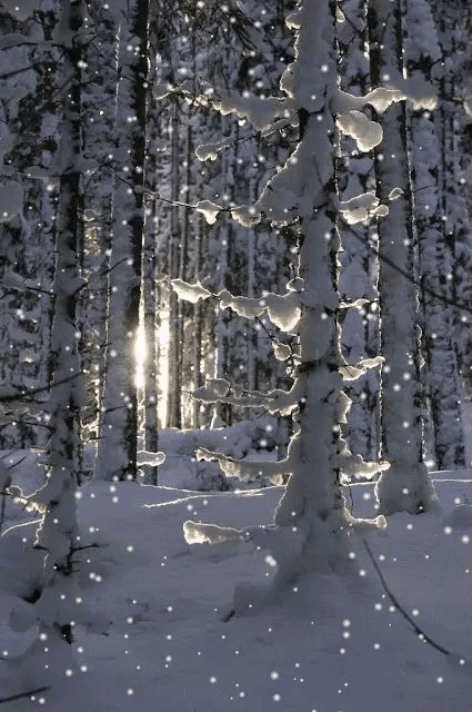 请欣赏主播海纳百川倾情演绎安玉茹老师的作品《活着的雪》编辑//海纳百川【第7456期】（图3）