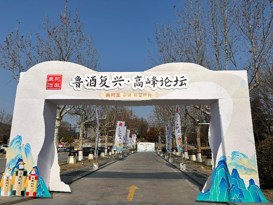 鲁酒复兴高峰论坛暨东阿王·聊酒财富峰会在聊城阿尔卡迪亚国际温泉酒店隆重举行（图12）