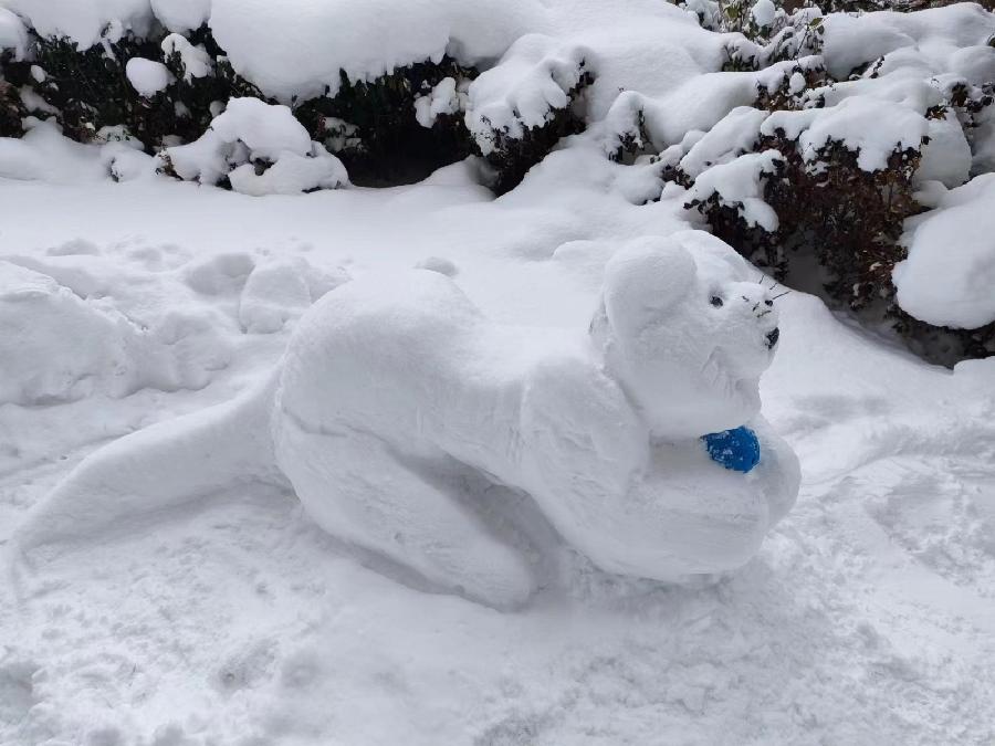 《雪的魅力》作者：赵荣（图6）