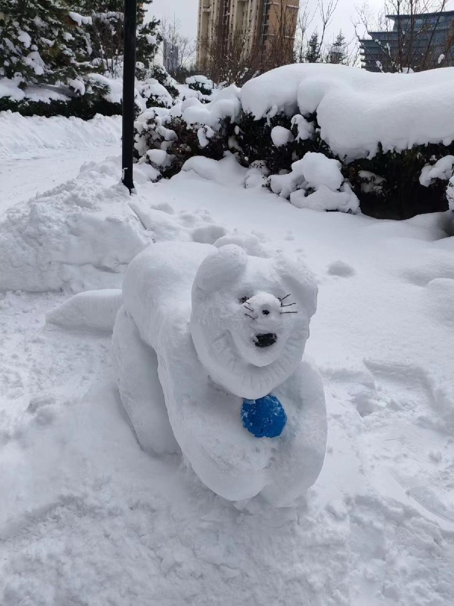 《雪的魅力》作者：赵荣（图5）