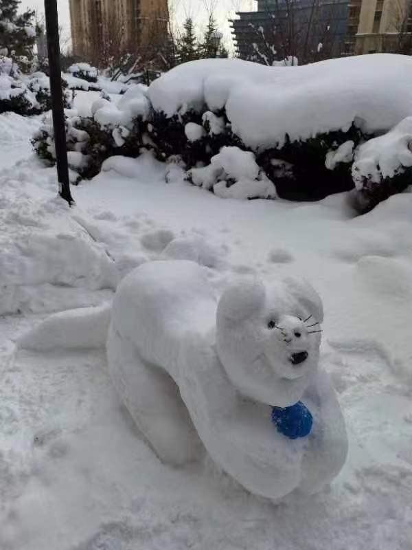 《雪的魅力》作者：赵荣（图9）